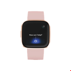 FITBIT VERSA 2 Petal / Cooper Rose
                        Giyilebilir Teknoloji